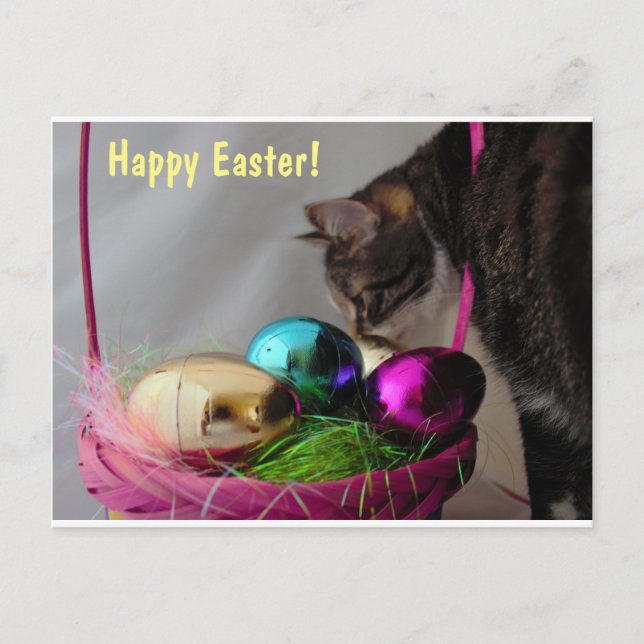 Cartes Pour Fêtes Annuelles Chat avec panier de Pâques (Devant)