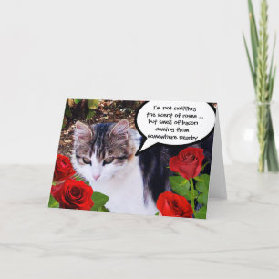 CARTES POUR FÊTES ANNUELLES CHAT AVEC ROSES ROUGES
