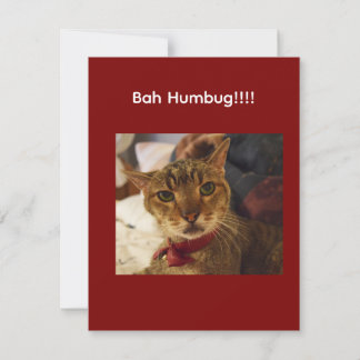 Cartes Pour Fêtes Annuelles Chat Bah Humbug avec froncement de sourcils
