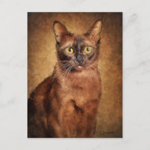 Cartes Pour Fêtes Annuelles Chat birman Brown
