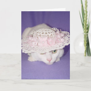 Cartes Pour Fêtes Annuelles Chat blanc dans le capot