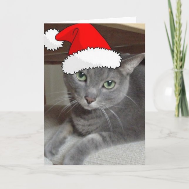 Cartes Pour Fêtes Annuelles Chat bleu russe de Noël (Devant)