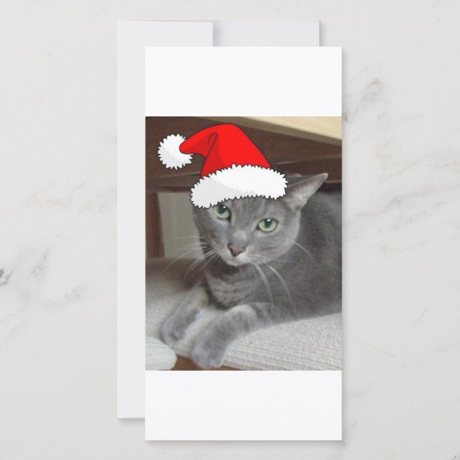 Cartes Pour Fêtes Annuelles Chat bleu russe de Noël (Devant)