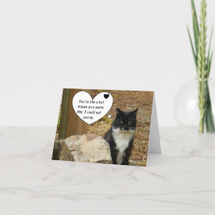 Cartes Pour Fêtes Annuelles Chat chaud Valentine de souris