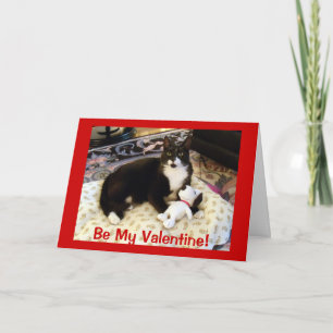 Cartes Pour Fêtes Annuelles Chat & Chien Valentine