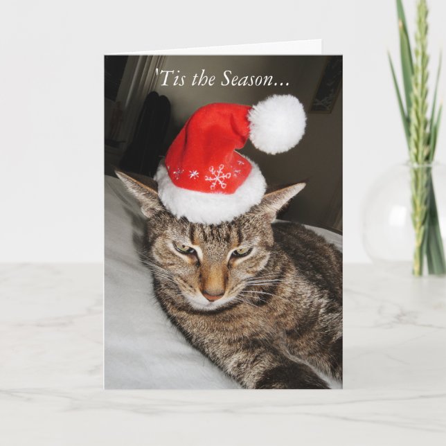 Cartes Pour Fêtes Annuelles Chat dans le casquette de Père Noël drôle (Devant)