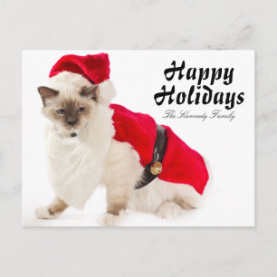 Cartes Pour Fêtes Annuelles Chat de Birman dans le costume de Père Noël