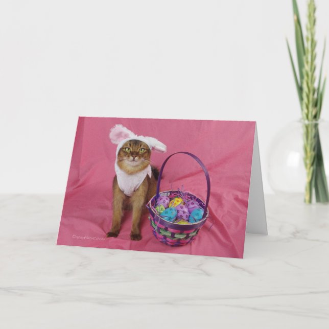 Cartes Pour Fêtes Annuelles Chat de houblon de Somalien de Pâques (Devant)