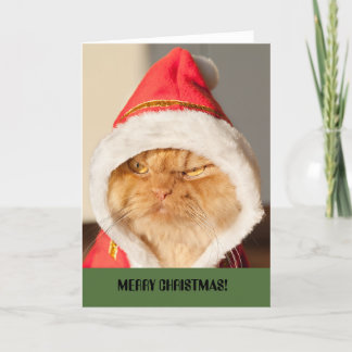 Cartes Pour Fêtes Annuelles Chat de Joyeux Noël