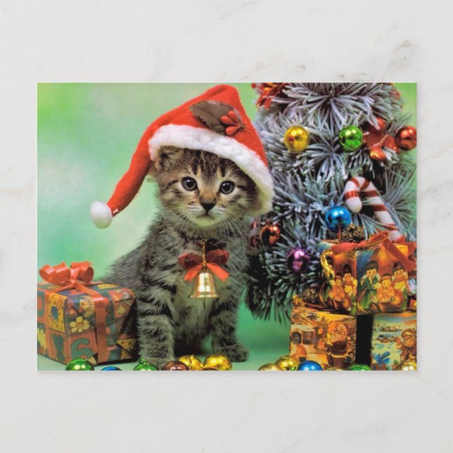 Cartes Pour Fêtes Annuelles Chat de Noël (Devant)