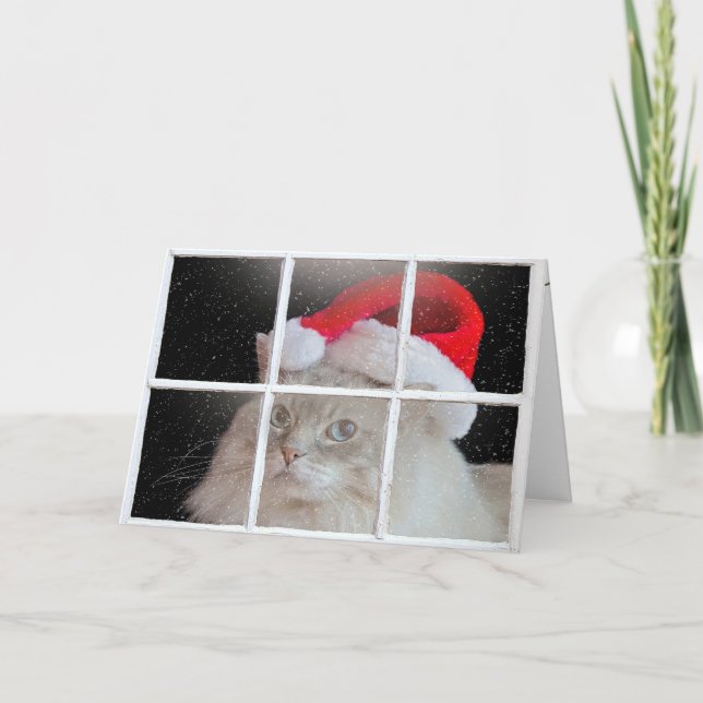 Cartes Pour Fêtes Annuelles Chat de Noël (Devant)