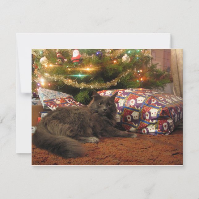 Cartes Pour Fêtes Annuelles Chat de Noël (Devant)