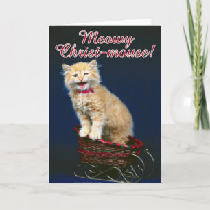 Cartes Pour Fêtes Annuelles Chat de Noël