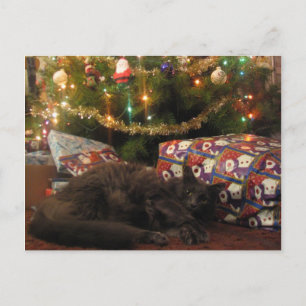 Cartes Pour Fêtes Annuelles Chat de Noël