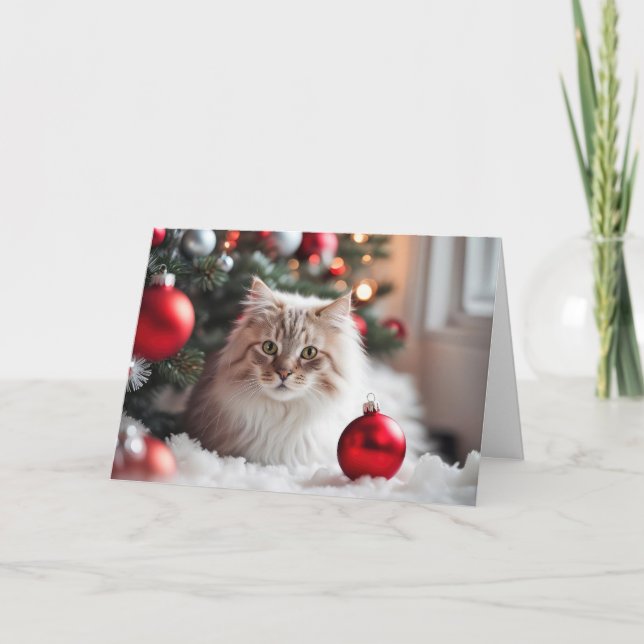 Cartes Pour Fêtes Annuelles Chat de Noël Avec Ornement Rouge (Devant)