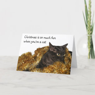Cartes Pour Fêtes Annuelles Chat de Noël noir