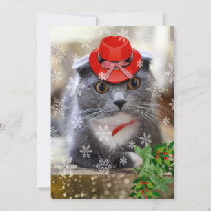 Cartes Pour Fêtes Annuelles Chat de Noël Scottish Fold
