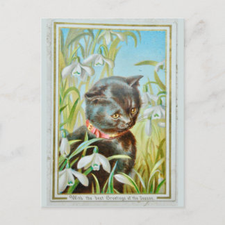 Cartes Pour Fêtes Annuelles Chat de Noël victorien
