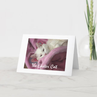 Cartes Pour Fêtes Annuelles Chat de Pâques