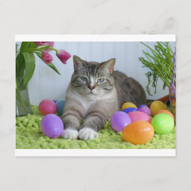 Cartes Pour Fêtes Annuelles Chat de Pâques (Devant)