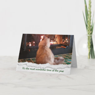 Cartes Pour Fêtes Annuelles Chat De Ragdoll De Noël Par Feu