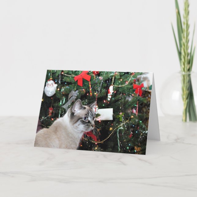 Cartes Pour Fêtes Annuelles Chat de Siamese et arbre de Noël (Devant)