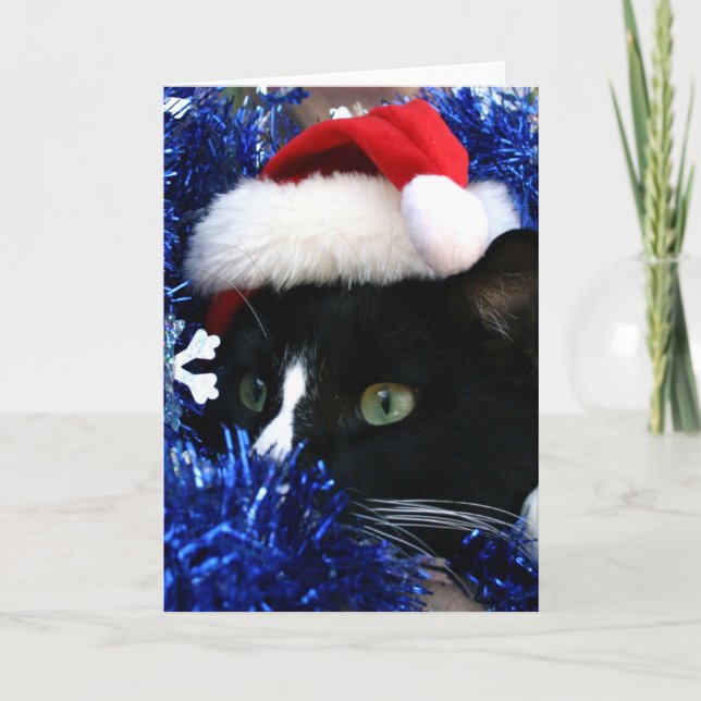 Cartes Pour Fêtes Annuelles Chat de tuxède noir et blanc - casquette de noël (Devant)