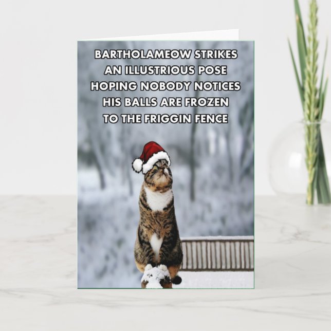 Cartes Pour Fêtes Annuelles Chat drôle de Noël (Devant)