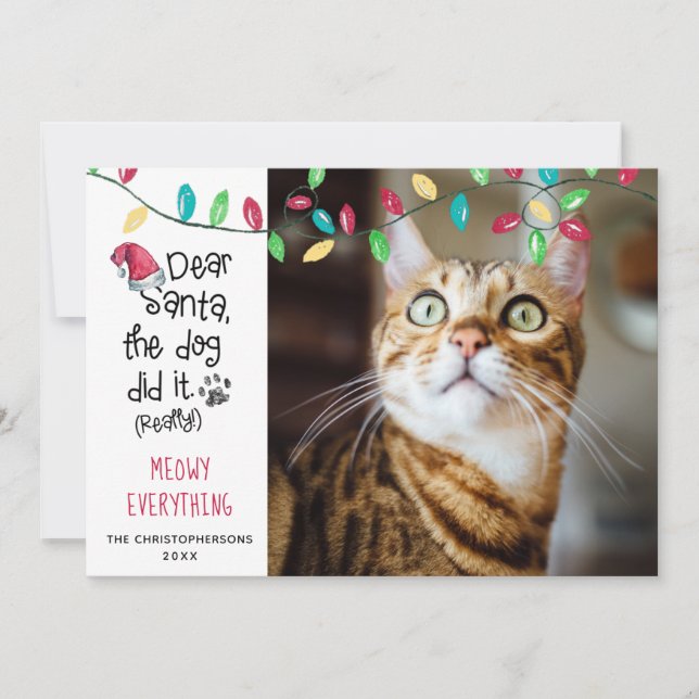 Cartes Pour Fêtes Annuelles Chat Drôle Dire Lumineux Vacances Photo (Devant)
