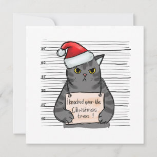 Cartes Pour Fêtes Annuelles Chat Drôle Que J'Ai Touché Sur L'Arbre De Noël
