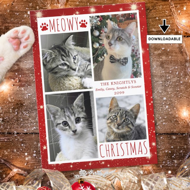 Cartes Pour Fêtes Annuelles Chat drôle Red MEOWY CHRISTMAS 4 Photos (Créateur téléchargé)