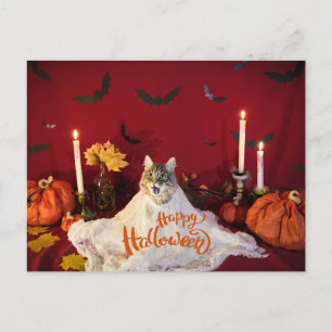 Cartes Pour Fêtes Annuelles Chat effrayant en costume d'Halloween amusant
