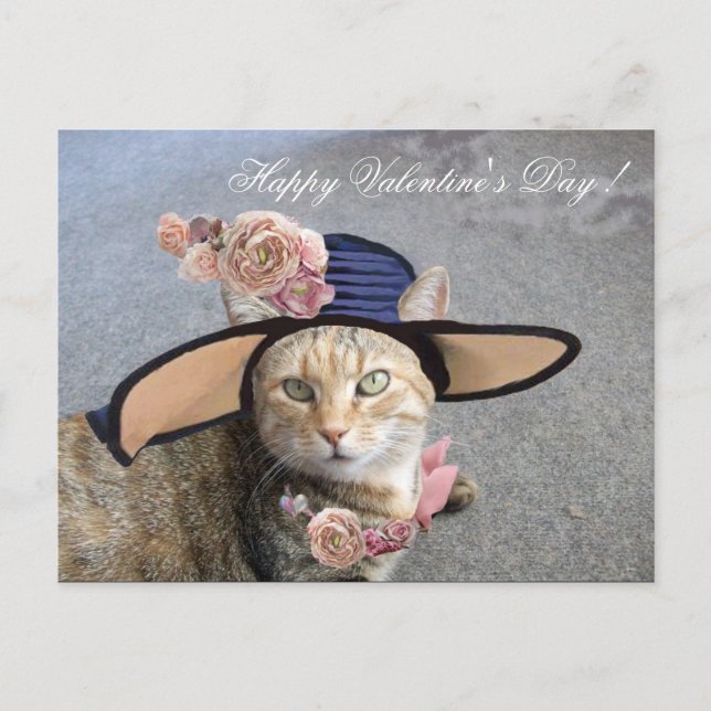 CARTES POUR FÊTES ANNUELLES CHAT ÉLÉGANT AVEC GRAND CASQUETTE DIVA, ROSES ROSE (Devant)