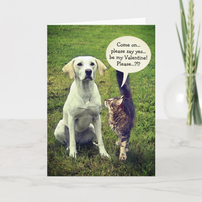 Cartes Pour Fêtes Annuelles Chat et chien drôle de la Saint-Valentin (personna (Devant)