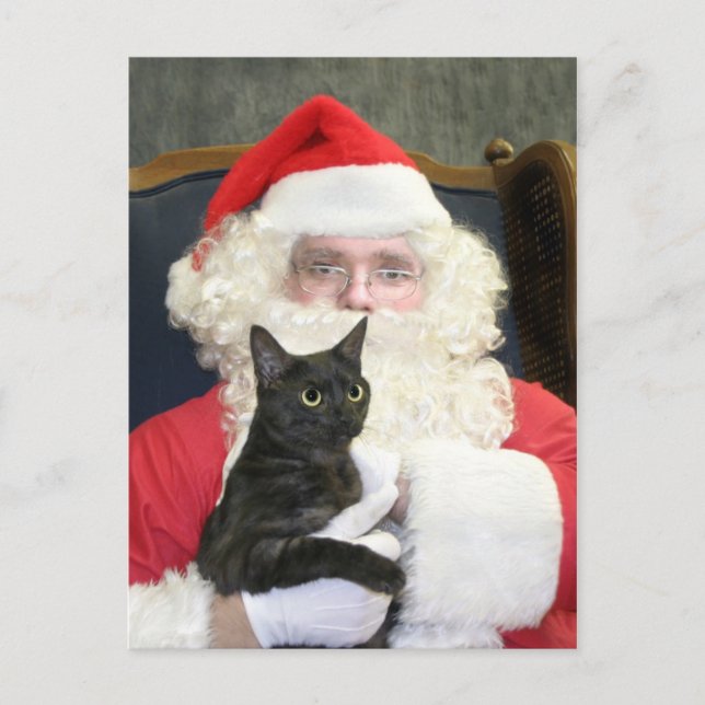 Cartes Pour Fêtes Annuelles Chat et Père Noël (Devant)