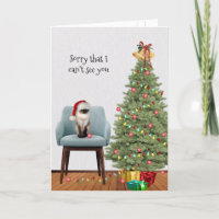 Chat et sapin de Noël