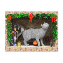 Chat et trucs de Noël