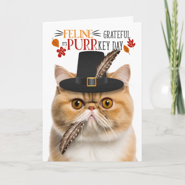Cartes Pour Fêtes Annuelles Chat Exotic Shorthair gracieux pour PURRkey Day (Devant)