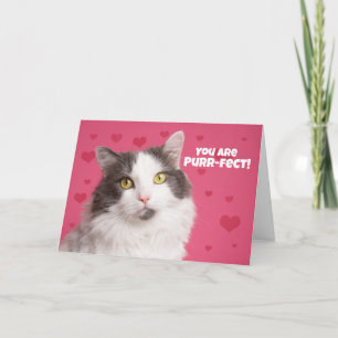 Cartes Pour Fêtes Annuelles Chat Heureuse Sainte-Valentin mignon avec coeur