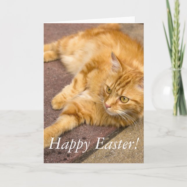 Cartes Pour Fêtes Annuelles Chat heureux de gingembre de Pâques (Devant)