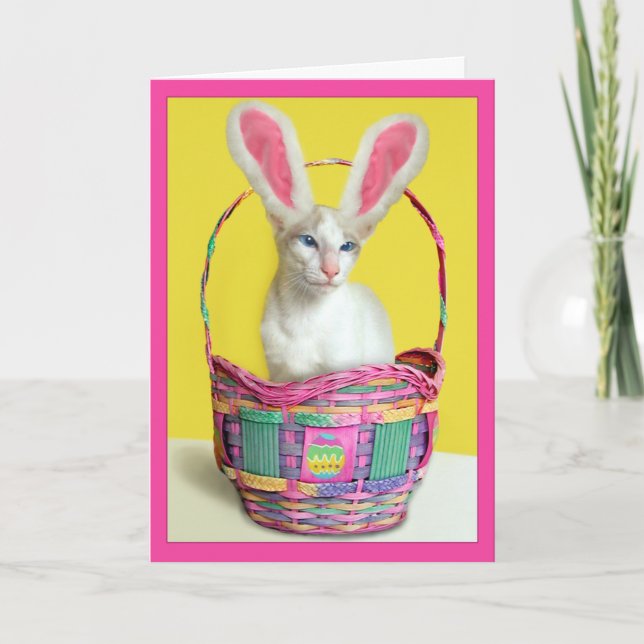 Cartes Pour Fêtes Annuelles Chat heureux de lapin de Pâques (Devant)