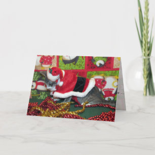 Cartes Pour Fêtes Annuelles Chat, Kitten, Noël, Secourt, Photo