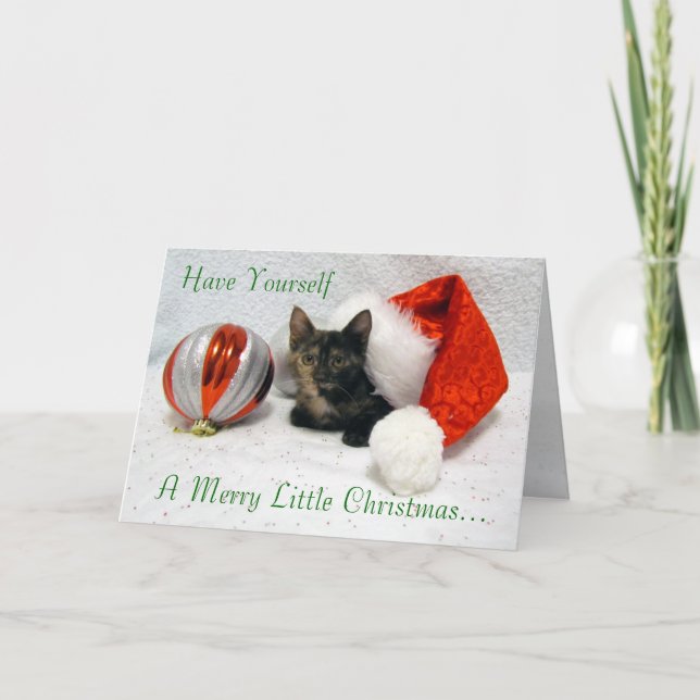 Cartes Pour Fêtes Annuelles Chat, Kitten, Noël, Secourt, Photo (Devant)