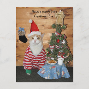 Cartes Pour Fêtes Annuelles Chat/Kitty de Noël en JP