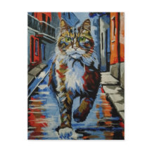 chat, kotofey, rue, ville, animal