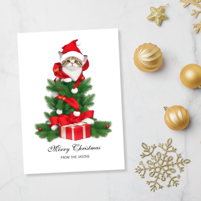 Cartes Pour Fêtes Annuelles Chat mignon en chapeau rouge Noël personnalisé (Cute Cat in red santa hat Christmas Holiday Card)