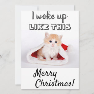 Cartes Pour Fêtes Annuelles Chat mignon Je me suis réveillé...Photo rouge