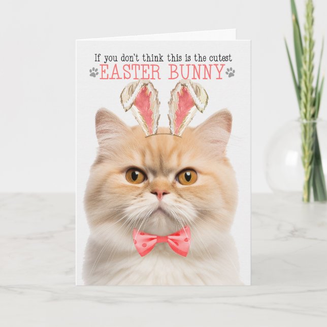 Cartes Pour Fêtes Annuelles Chat Muchnkin à Bunny Ears pour Pâques (Devant)