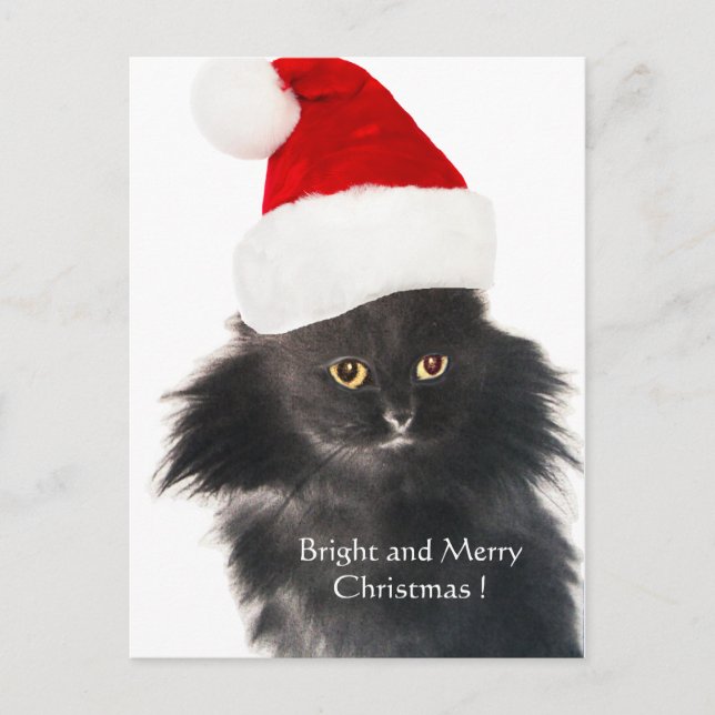 CARTES POUR FÊTES ANNUELLES CHAT NOËL NOIR AVEC CASQUETTE SANTA CLAUS (Devant)