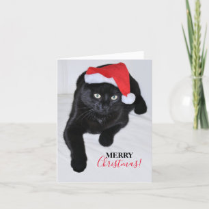 Cartes Pour Fêtes Annuelles Chat noir avec chapeau de Père Noël Rouge